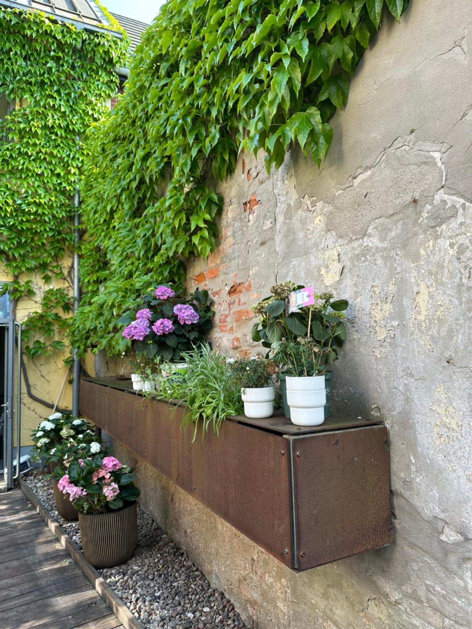 Birnbom Warnemuende Apartment Rostock